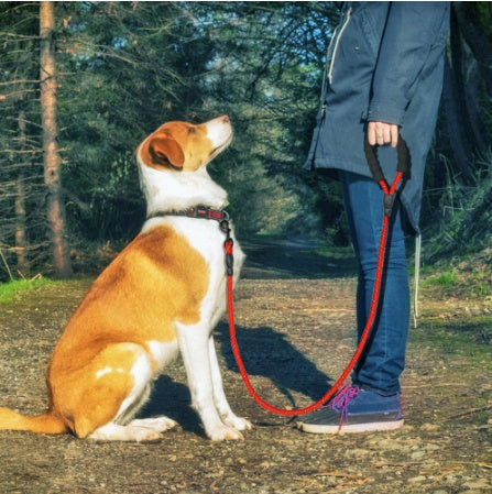 Reflective Nylon Dog Leash With Padded Handle For Safe Night Walks