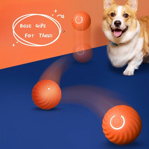 Interactive Rubber Dog Ball For Training And Dental Health